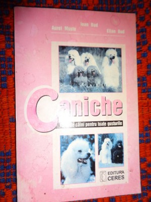 Caniche - rasa de caini pentru toate gusturile - Ioan Bud 226 pagini,an 2001 foto