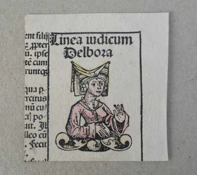 Michel Wolgemut decupaj din &amp;quot;Cronica din Nuremberg&amp;quot; xilogravura 1493 foto