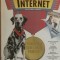 Allen L. Wyatt - Succes cu internet, 1996