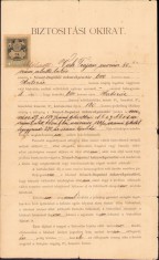 A2093 Poliță de asigurare Casa de economii Bocșa Montană, 1902