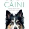 Super Caini, Ben Holt - Editura DPH