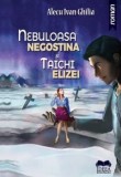 Nebuloasa Negostina si Taichi Elizei/Alecu Ivan Ghilia