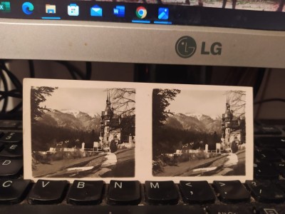 Sinaia, Castelul Peleș, Reședința de vară a M.S. Regelui, circa 1930, 205 foto
