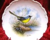 FARFURIE PORTELAN ROYAL ALBERT FINE CHINA ANGLIA DECOR PASARI CODOBATURA GALBENA