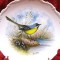 FARFURIE PORTELAN ROYAL ALBERT FINE CHINA ANGLIA DECOR PASARI CODOBATURA GALBENA