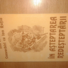 In asteptarea redesteptarii - Convorbiri cu Ion Ratiu - Dan Bogdan (1994)