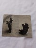 Carte postala urs, Circulata, Fotografie