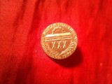 Insigna 30 Ani Grupul Scolar IUP Targoviste 1979 , alama , d=2,1cm