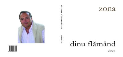 Dinu Flamand, Zona foto