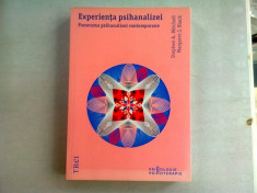 EXPERIENTA PSIHIANALIZEI-STEPHEN A. MITCHELL- MARGARET J. BLACK foto