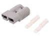 Conector cablu-cablu ANDERSON POWER PRODUCTS SB 175, 2 pini, 175A, 600V, Policarbonat, Argintat