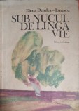 SUB NUCUL DE LANGA VIE-ELENA DENDEA IONESCU-252697
