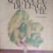SUB NUCUL DE LANGA VIE-ELENA DENDEA IONESCU-252697