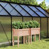 VidaXL Jardiniere de grădină cu picioare, 2 buc., lemn masiv douglas 837561