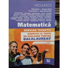 Matematica breviar teoretic exercitii si teste de evealuare bacalaureat , Petre Simion