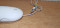 Foto  - 2