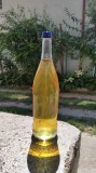 Țuică (prune), 10 litri, V&acirc;lcea, productie 2024