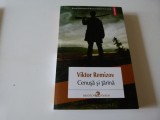 Cenusa si tarana - V. Remizov