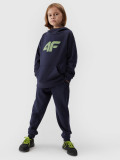Pantaloni jogger de trening pentru băieți - bleumarin, 4F Sportswear
