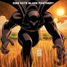 Volumul 16. Marvel. Black Panther. Cine este Black Panther?