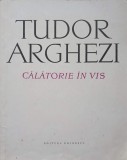 CALATORIE IN VIS-TUDOR ARGHEZI