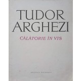 CALATORIE IN VIS-TUDOR ARGHEZI-145883