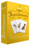 Cumpara ieftin Montessori. Vocabular. Caini si pisici/***