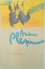 DESPRE INGERI de ANDREI PLESU, 2012 foto