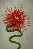 Art decor vegetal spiralat modern, 26 x 39 cm, CMCLASS