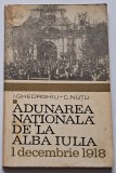Gheorghiu, I, C. Nutu, Adunarea Nationala de la Alba Iulia (1 decembrie 1918)