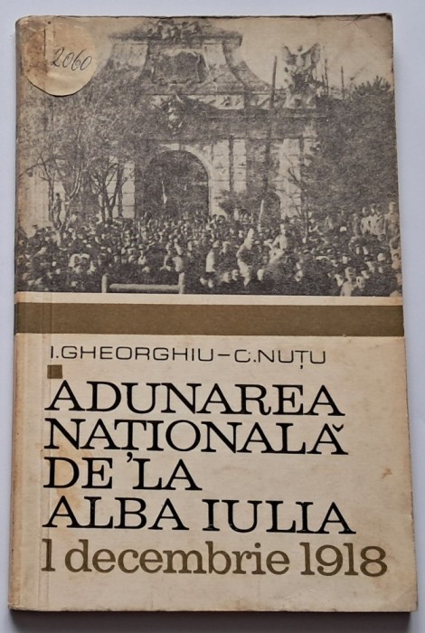 Gheorghiu, I, C. Nutu, Adunarea Nationala de la Alba Iulia (1 decembrie 1918)