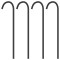 Foto  - 5
