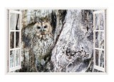 Sticker decorativ, Fereastra 3D, Bufnita, 85 cm, 239STK, natura si peisaje