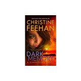 Dark Memory