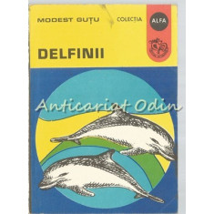Delfinii - Modest Gutu