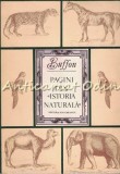 Pagini din Istoria Naturala - Buffon, Editura Ion Creanga, 1981, Biologie, Carte veche