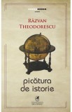 Picatura de istorie - Razvan Theodorescu