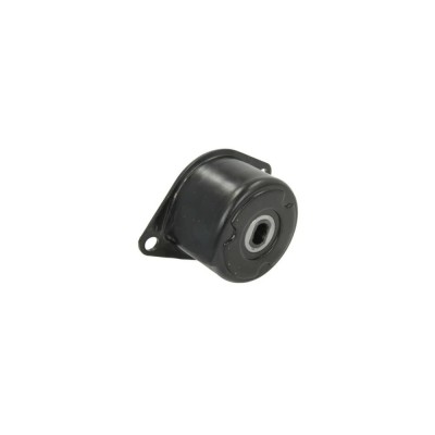 Intinzator curea VW TRANSPORTER IV bus 70XB 70XC 7DB 7DW 7DK DAYCO APV3186 foto