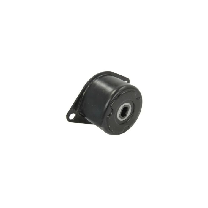 Intinzator curea VW TRANSPORTER IV bus 70XB 70XC 7DB 7DW 7DK DAYCO APV3186