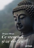 Ce vrem noi si ce vor zeii - Dragos Obreja - Letras