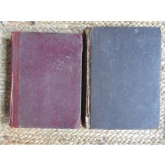 A. J. Cronin - Castelul palarierului 2 VOL