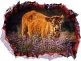 Sticker decorativ, Gaura in perete 3D, Vacuta, 85 cm, 407STK, natura si peisaje