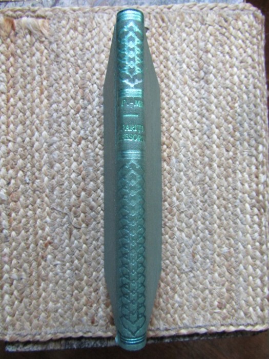 Disparitia profesorului - Nicolae-Paul Mihail