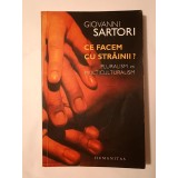 Giovanni Sartori - Ce facem cu străinii? Pluralism și multiculturalism: eseu despre societatea multietnică