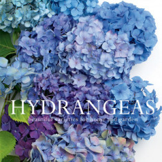 Hydrangeas: Beautiful Varieties for Home and Garden