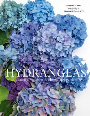 Hydrangeas: Beautiful Varieties for Home and Garden foto