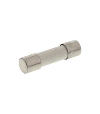 Siguranta intarziere 10A 250VAC 5x20mm SPTP SCHURTER 0001.2514 foto