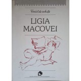 CAIET DE SCHITE-LIGIA MACOVEI-236747