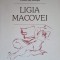 CAIET DE SCHITE-LIGIA MACOVEI-236747