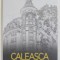 CALEASCA AURITA de MIHAI MALAIMARE , 2021